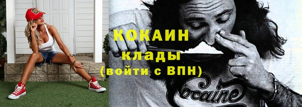индика Алексеевка