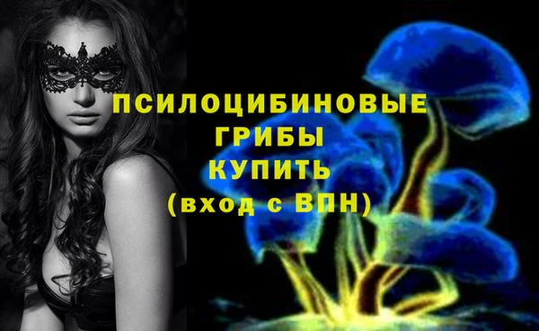 индика Алексеевка