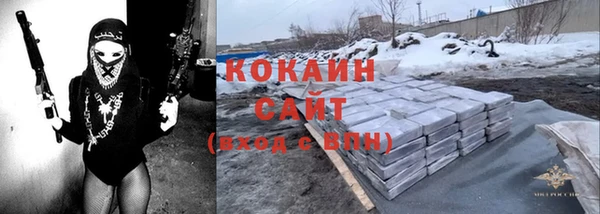 индика Алексеевка