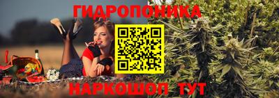 spice Брянск