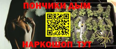 spice Брянск