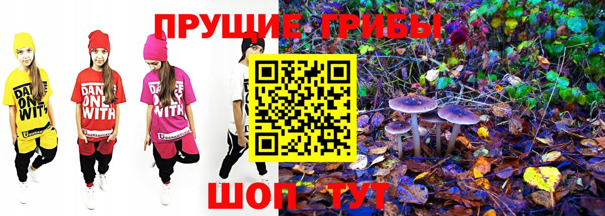 Псилоцибиновые грибы Psilocybe  Вход с VPN  Махачкала  Галлюциногенные грибы Psilocybe 