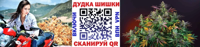 наркошоп  Махачкала  Бошки марихуана планчик 